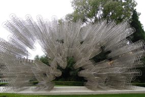 politika_koles©Simon_Koblar_2018