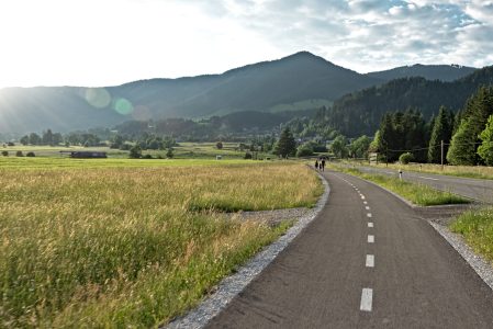 hoja©Simon_Koblar_2018